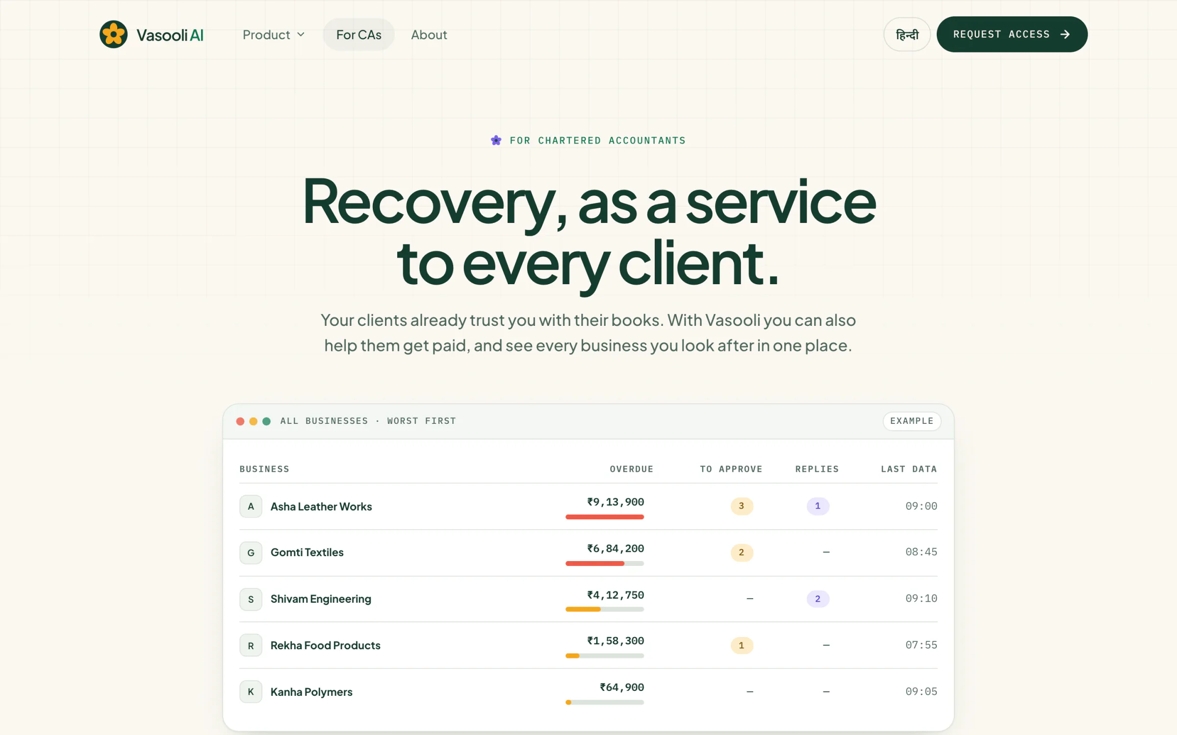 Vasooli AI page for chartered accountants with a portfolio of client businesses